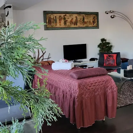 アパート Luxury - Free Massages From Physiotherapists プラハ